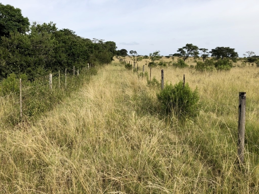 Commercial Property for Sale in Bathurst Rural Eastern Cape